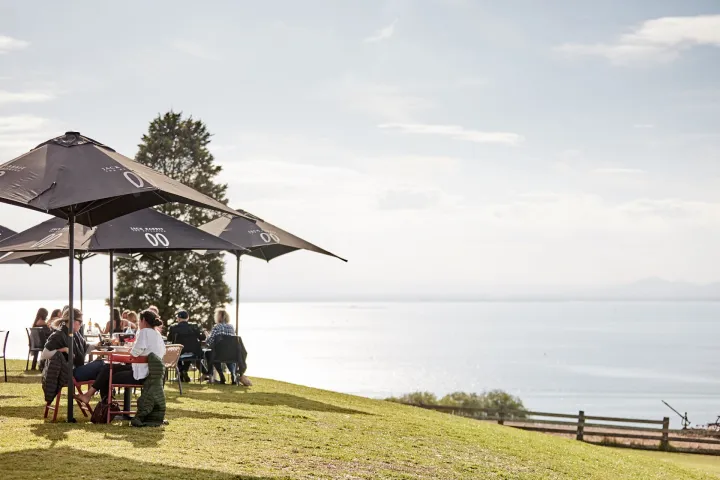 a group of people standing next to a body of water