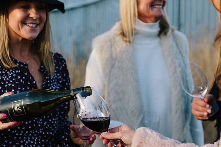 a woman holding a wine glass