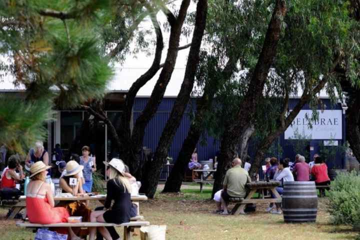 a group of people sitting on a bench next to a tree
