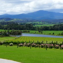a group of people in a field with a mountain in the background